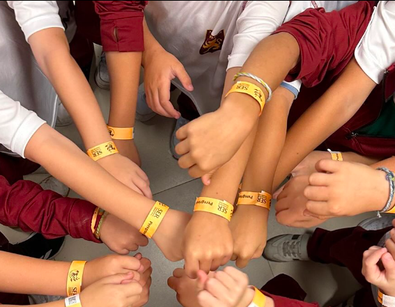 Colegio Cardenal Newman Semana Solidaria